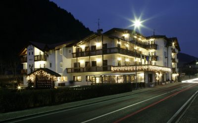 FiemmE-Motion Card
